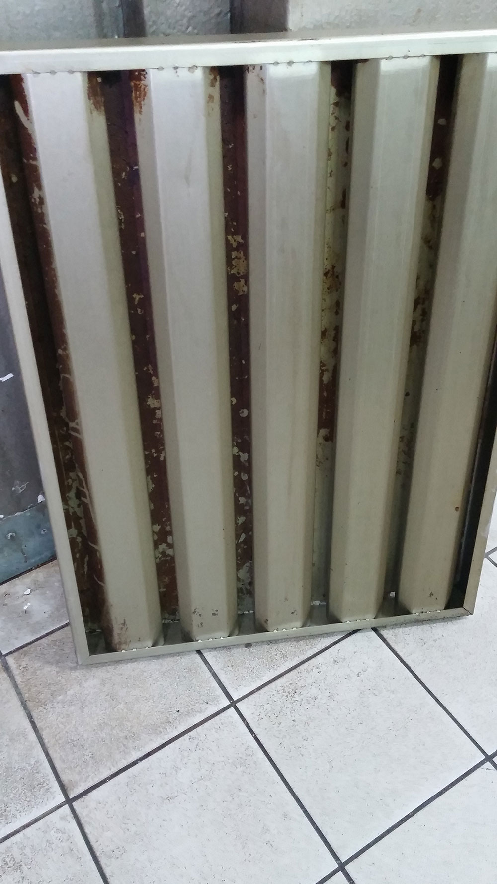 ניקוי מסנן נירוסטה - לפני